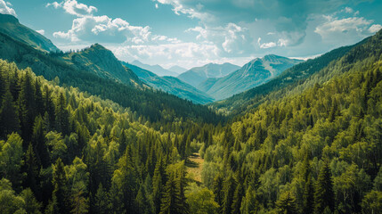 Canvas Print - A lush green forest with a mountain range in the background