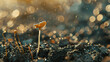 mushroom in the fertile soil