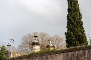 Wall Mural - A large tree with two statues on top of it