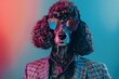 Dapper Poodle with Stylish Sunglasses and Blazer