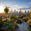 Urban rooftop garden with city skyline in the background