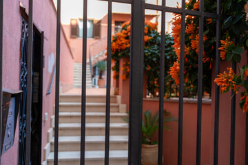 Wall Mural - A gate with a metal fence and a flower garden in front of it