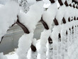 iron fence under white snow - winter season