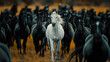 Caballo blanco entre caballos negros