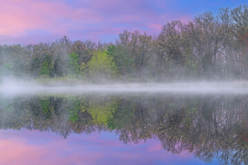 Wall Mural - Spring landscape at dawn of the shoreline of Deep Lake in fog with mirrored reflections in calm water, Yankee Springs State Park, Michigan, USA