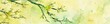 Elegant tree branch with vibrant, newly sprouted green leaves against a soft, yellow-tinted backdrop. Ideal for a romantic spring-themed artistic card, banner, or celebration decoration