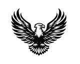 Fototapeta  - Eagle engravement vector illustration emblem