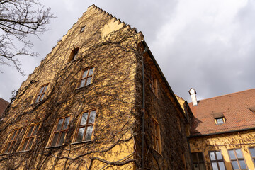 Wall Mural - A building with ivy growing on it and a cloudy sky in the background