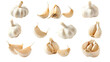 © Rosie - Garlic cloves isolated collection on transparent background