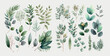 Watercolor floral illustration set - green leaf branches collection. Decorative elements