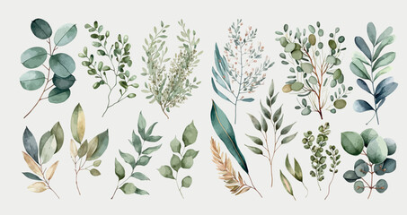 Aufkleber - Watercolor floral illustration set - green leaf branches collection. Decorative elements