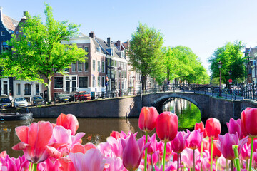 Sticker - panorama of the historical houses of Amsterdam Netherlands, canal ring landmark in old european city with tulips, Amsterdam