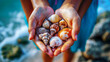 Hands Full of Assorted Colourful Seashells.
Close-up of hands holding a variety of colourful shells.
