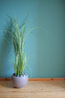 Artificial home plant on a green wall background. Space for your text.