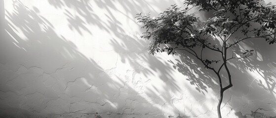 Poster - A white wall with an abstract shadow