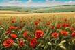 poppy field with sky
