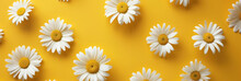 A Whimsical Backdrop Featuring Oversized Cartoon Daisies On A Bright Yellow Background, Perfect For Children's Themes Or Playful Designs.