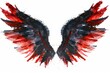 A pair of red and black wings spread out against a clean white backdrop.