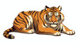 Cartoon resting tiger freehand draw cartoon vector i