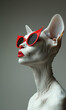 Portrait of Slick fashion cat wearing red sunglasses