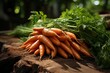 Vibrant image of homegrown carrots freshly harvested in a charming garden setting.