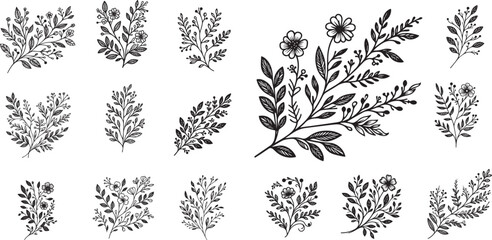 Wall Mural - branches and leaves flower vector set, decoration elements