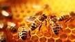 Bees meticulously pour nectar into honeycomb cells, contributing to the honey-making process within the hive.