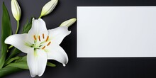 Macro Shot Of A White Lily With A Minimal Floral Card