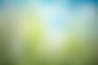 Clean summer background, light green color, blurred layout, cards, nature background, design, poster, copy space