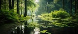 Fototapeta Las - Tranquil Small Creek Flowing Through Lush Green Forest with Beautiful Water Lilies