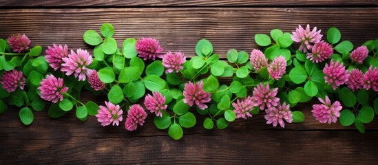 Fototapete - Serene Pink Flowers Blooming on Rustic Wooden Background with Soft Natural Light