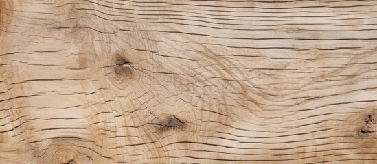 Poster - Detailed Close-Up of Textured Wood Grain in a Macro Photography Shot