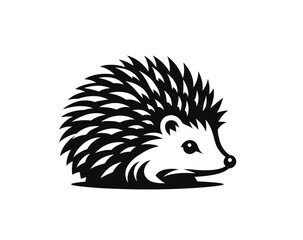cute hedgehog vector illustration
