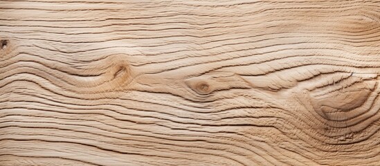 Poster - Detailed Macro Shot of Natural Wooden Surface with Intricate Textures and Patterns