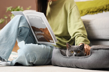 Poster - Young woman reading magazine and cute British Shorthair cat in pet bed at home, closeup