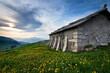 © Andrea Contrini - Malga Gasparine di Dietro among the flowering meadows of Lessinia. Erbezzo, Veneto, Italy.