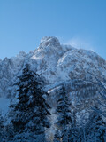 Fototapeta Tulipany - Snow-capped sunlit peak with trees in foreground in Krnica Valley, Julian Alps on a clear winter day