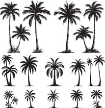 Simple Vector Palm Tree Silhouette SVG Icons And Beach Logo Designs In Black And White And Transparent Background PNG File With Suns Clouds And Islands In The Ocean