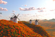 Scenic View of Traditional Windmills Amongst Vibrant Orange Wildflowers