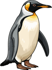 Wall Mural - penguin vector illustration isolated on transparent background. 