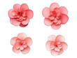 Set of salmon flower isolated on transparent background, transparency image, removed background