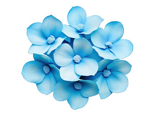 Wall Mural - blue flower isolated on transparent background, transparency image, removed background