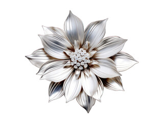 Wall Mural - silver flower isolated on transparent background, transparency image, removed background