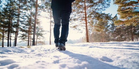 Canvas Print - person walking in the snowy forest 