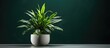 Artificial potted plant photography