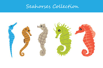 Wall Mural - seahorses collection. Vector illustration. Isolated on white background.