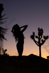 Wall Mural - silhouette of a person in a desert