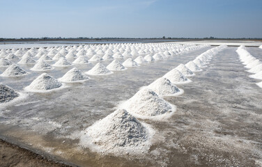 Salt farming is the process of extracting salt from seawater or brine. It is a labor-intensive process that has been practiced for centuries.