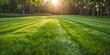 green field with sun rays, mowed lawn