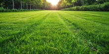 Beautiful Green Grass After Mowed Lawn 